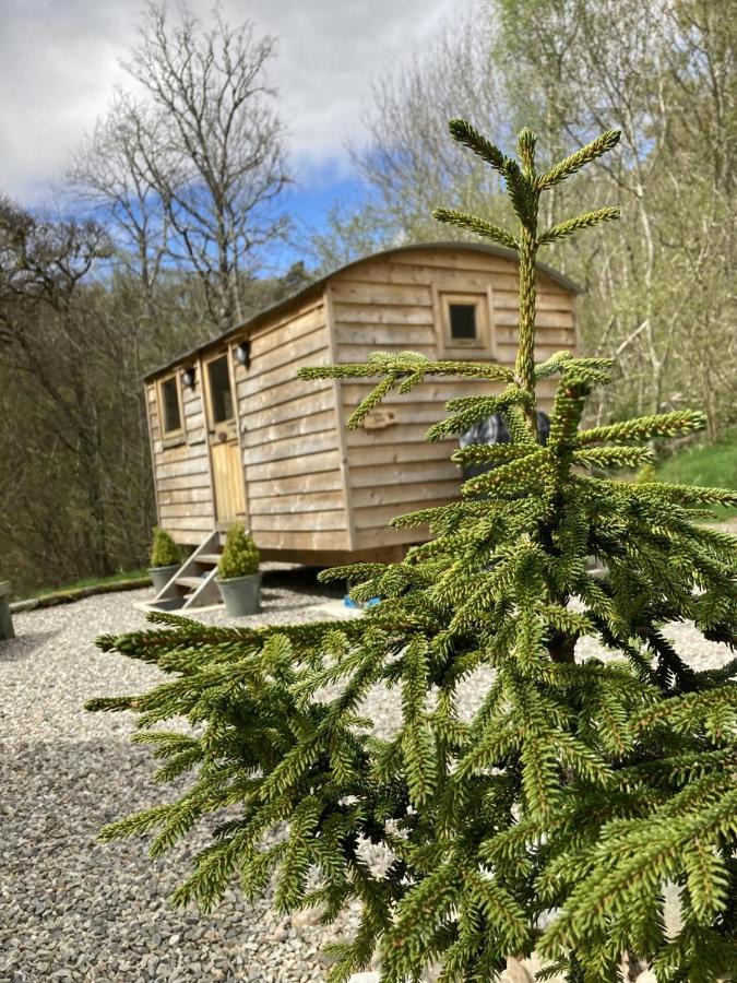 Highland Bear & Luxury Bear Huts