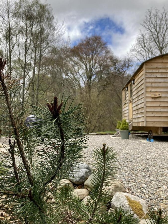 Frühstückspension Highland Bear Lodge&luxury Bear Huts